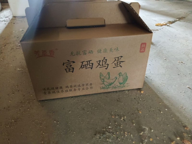 农家散养笨鸡蛋