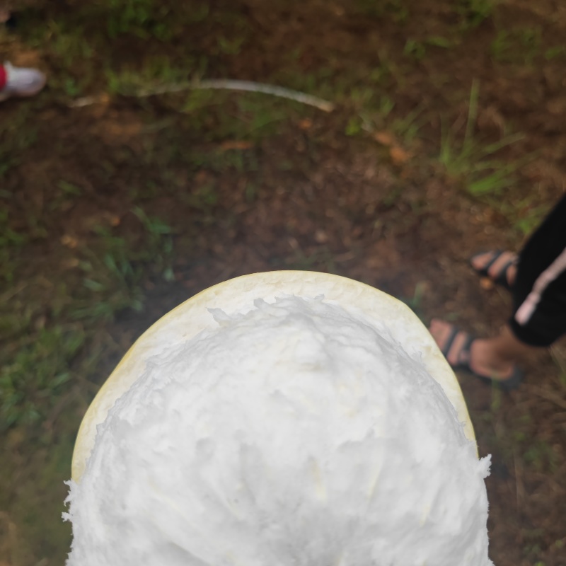 梅县红心蜜柚，高山黄泥草地种植，皮薄汁多，纯甜无酸果漂亮