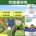 硼锌钙钾镁中微量元素水溶肥氨基酸叶面果树蔬菜茶叶烟叶通用