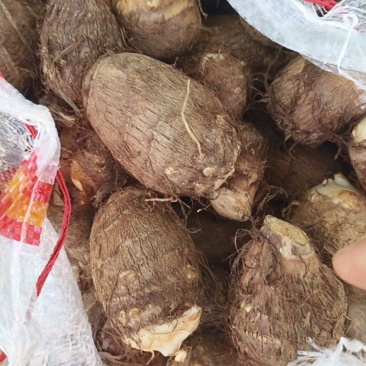 山东产地直发，牛奶毛芋，软糯香甜，口感细腻，保质保量，代发货