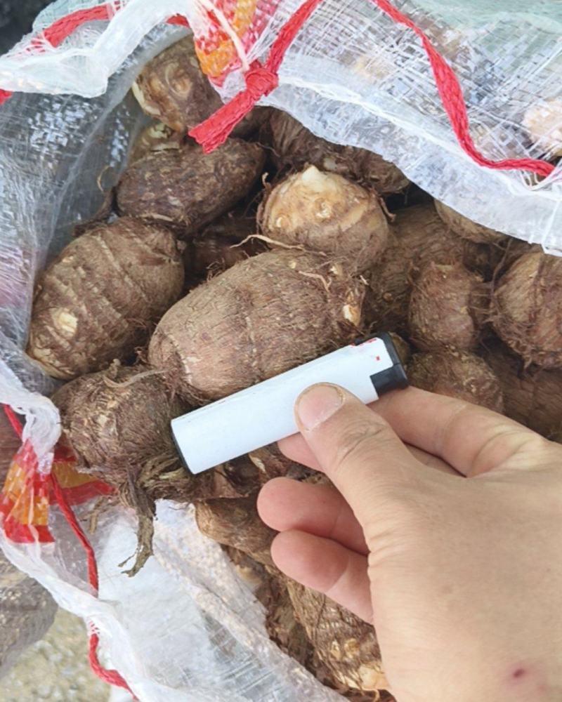 山东产地直发，牛奶毛芋，软糯香甜，口感细腻，保质保量，代发货