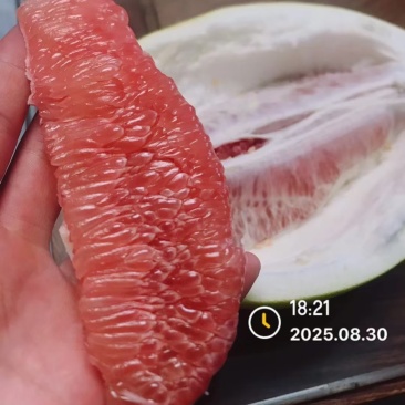 梅州红肉蜜柚，红肉蜜柚