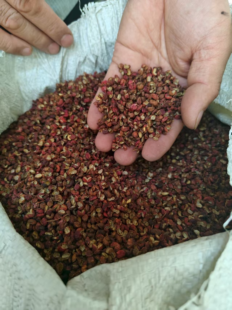 花椒药食两用味浓量大批发