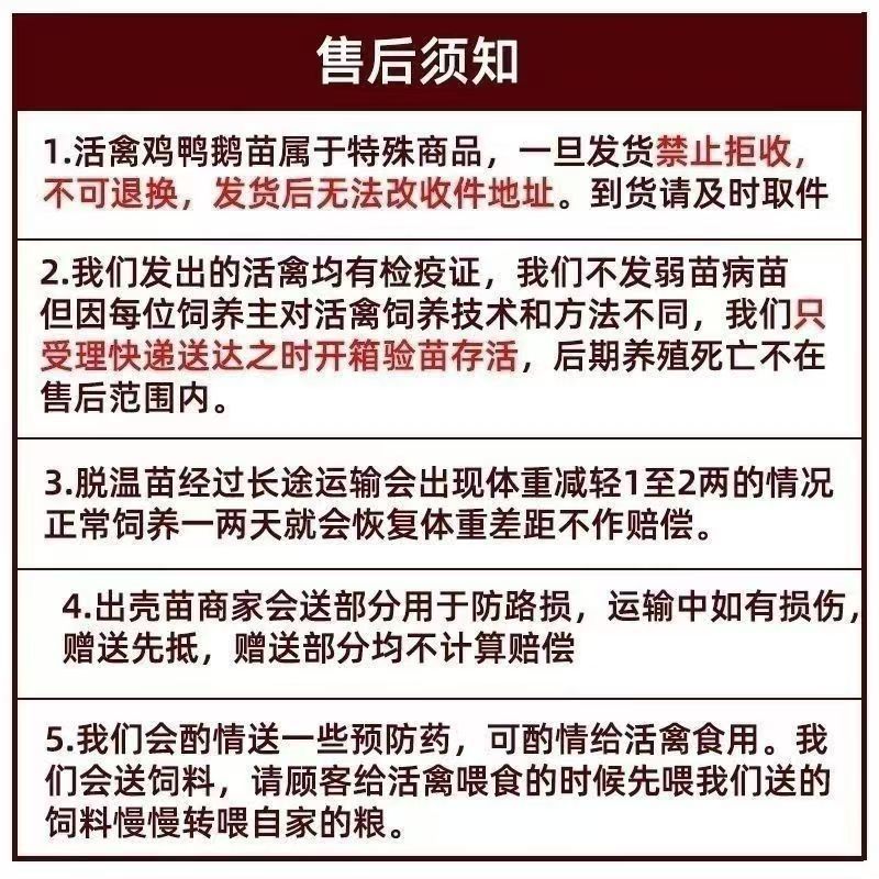 杂交斗鸡，活苗改良版斗鸡3-4两左右发货