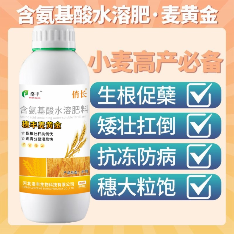 洛丰麦黄金小麦高产专用叶面肥提高分蘖生根壮苗增收小麦增产