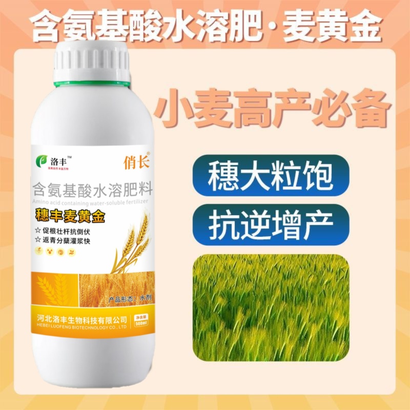 洛丰麦黄金小麦高产专用叶面肥提高分蘖生根壮苗增收小麦增产