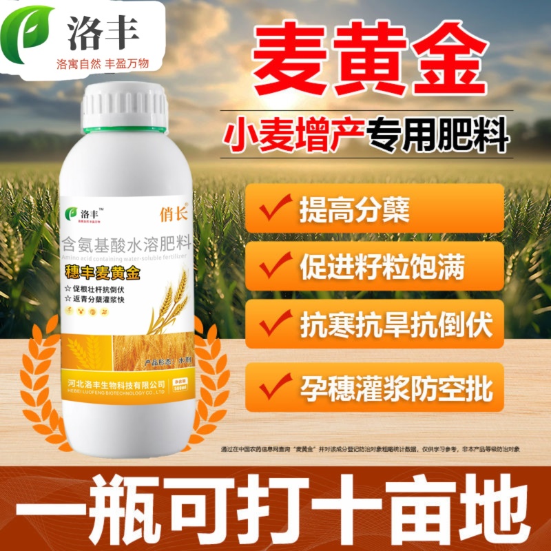 洛丰麦黄金小麦高产专用叶面肥提高分蘖生根壮苗增收小麦增产