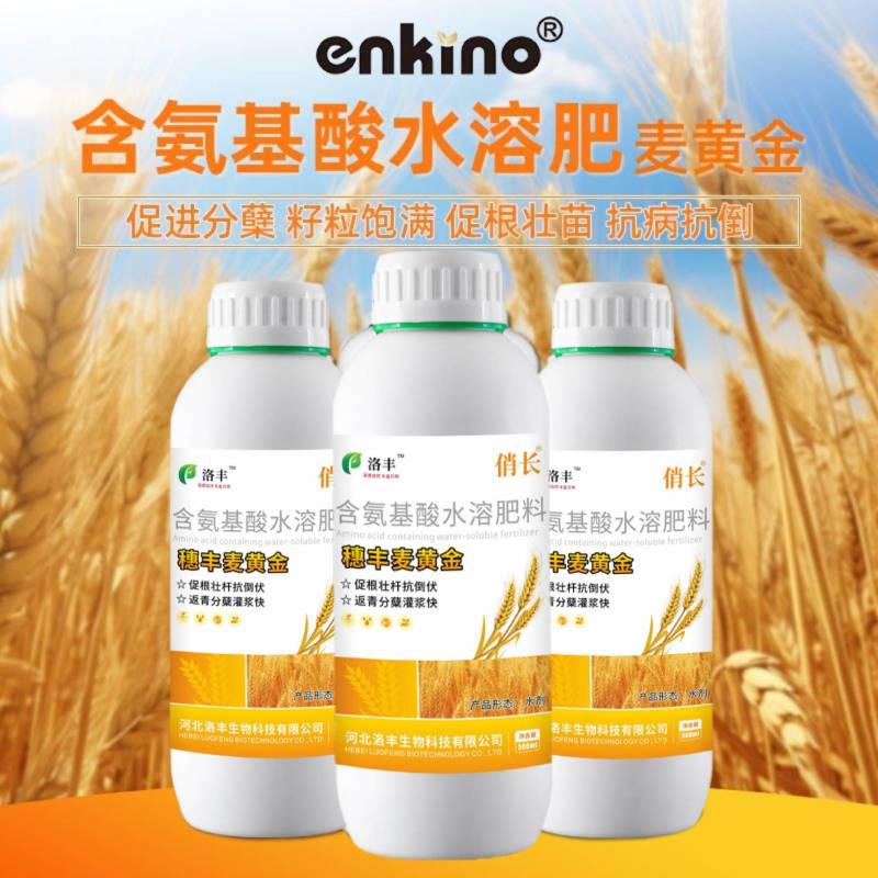 洛丰麦黄金小麦高产专用叶面肥提高分蘖生根壮苗增收小麦增产