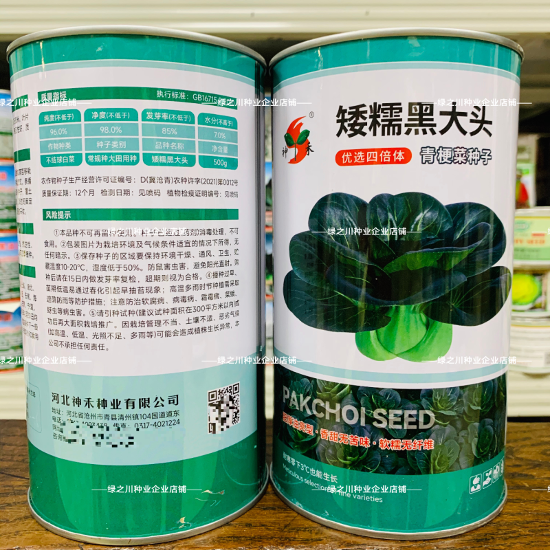四倍体矮糯黑大头青梗菜种子甜糯大头黑叶菜种籽耐寒苏州青