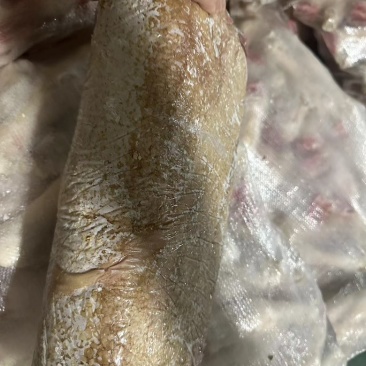 黄羊肚羊肚免洗羊肚黄肚子