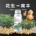 花生一窝丰控旺花生高产,饱果专用高硼高钙高钼叶面肥抗重茬