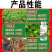 花生一窝丰控旺花生高产,饱果专用高硼高钙高钼叶面肥抗重茬