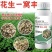 花生一窝丰控旺花生高产,饱果专用高硼高钙高钼叶面肥抗重茬
