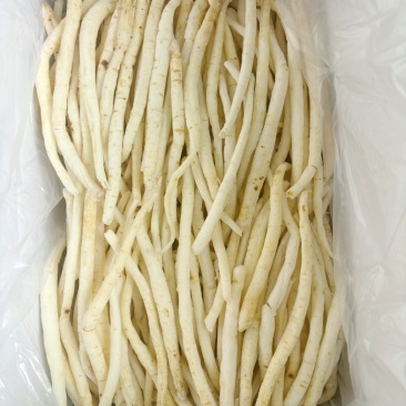 川明参金堂产地直销无中间环节，规格齐全欢迎咨询