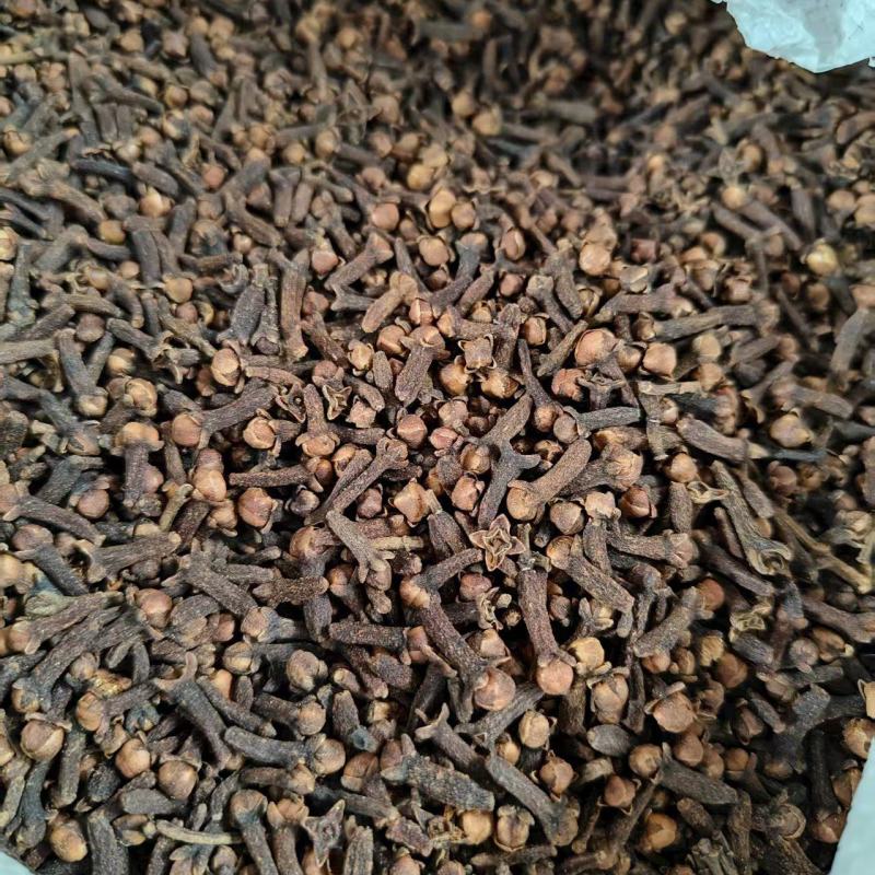 丁香药食两用香味浓郁洁净无杂