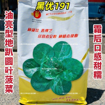 豫艺趴地菠菜种子黑优191菠菜种籽圆叶地趴菠菜籽抗病耐寒