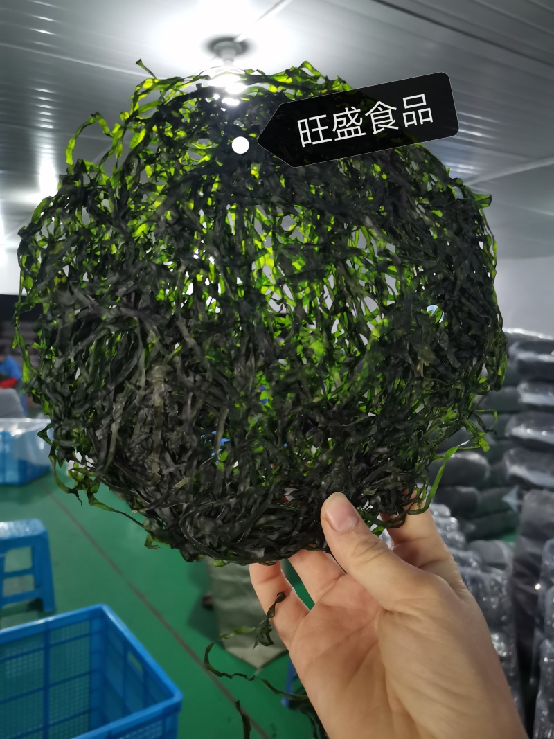 霞浦烘干海带丝烘干海带高倍泡发一斤17至20片凉拌好食材十斤