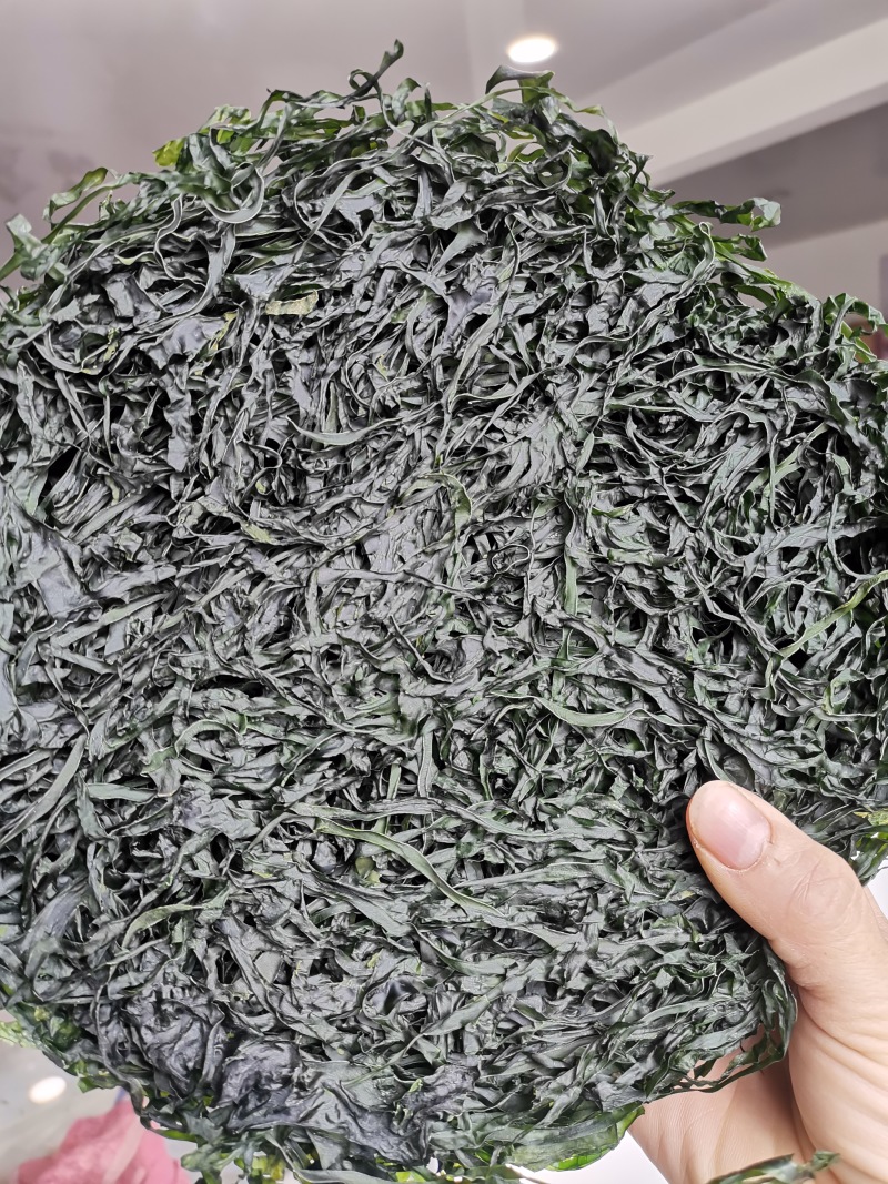 霞浦烘干海带丝烘干海带高倍泡发一斤17至20片凉拌好食材十斤