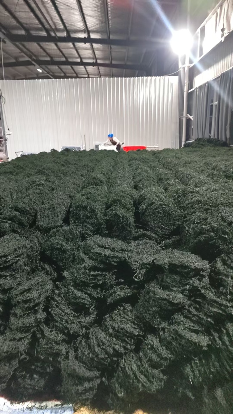 霞浦烘干海带丝烘干海带高倍泡发一斤17至20片凉拌好食材十斤