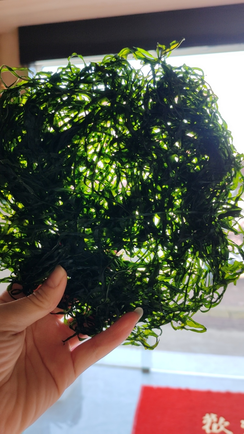 霞浦烘干海带丝烘干海带高倍泡发一斤17至20片凉拌好食材十斤