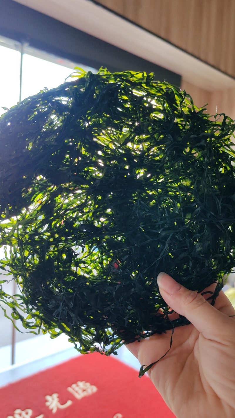 霞浦烘干海带丝烘干海带高倍泡发一斤17至20片凉拌好食材十斤