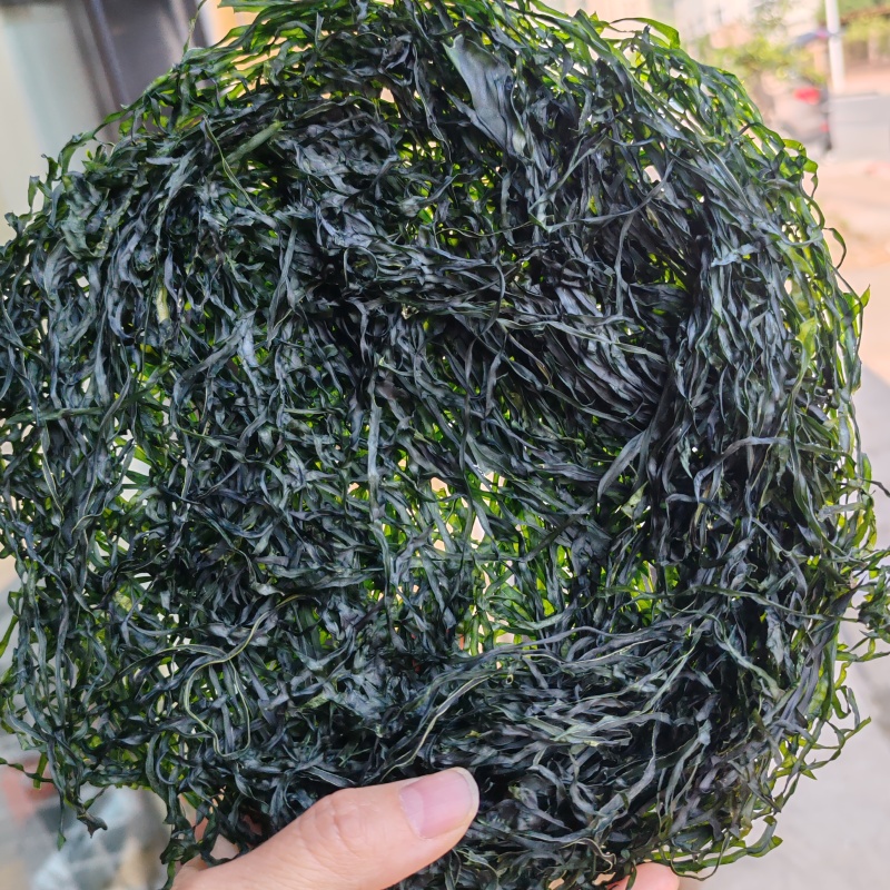 霞浦烘干海带丝烘干海带高倍泡发一斤17至20片凉拌好食材十斤