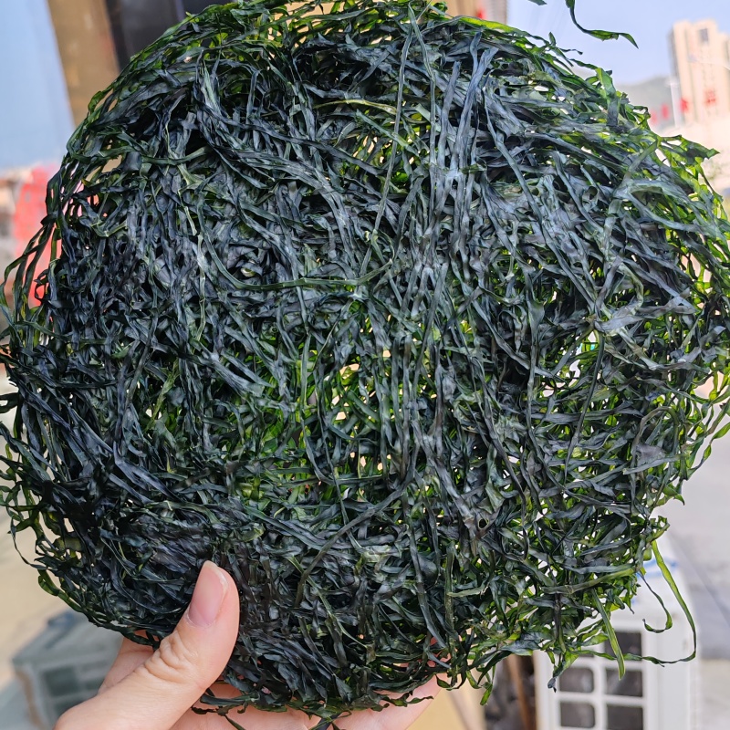 霞浦烘干海带丝烘干海带高倍泡发一斤17至20片凉拌好食材十斤