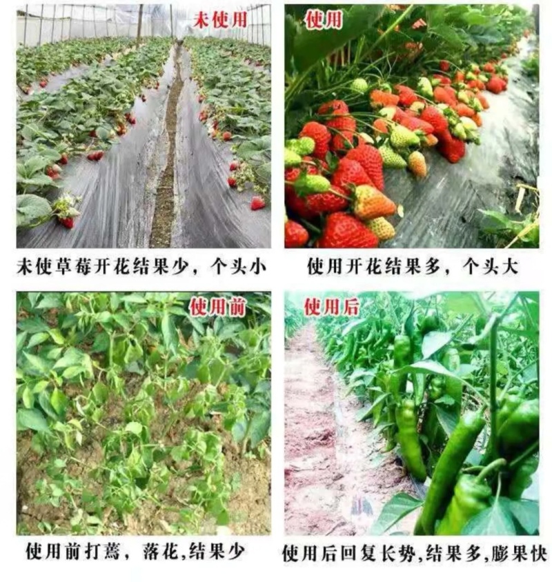 发酵大豆肥料大豆肥微生物肥料纯大豆发酵效果肥料有机质