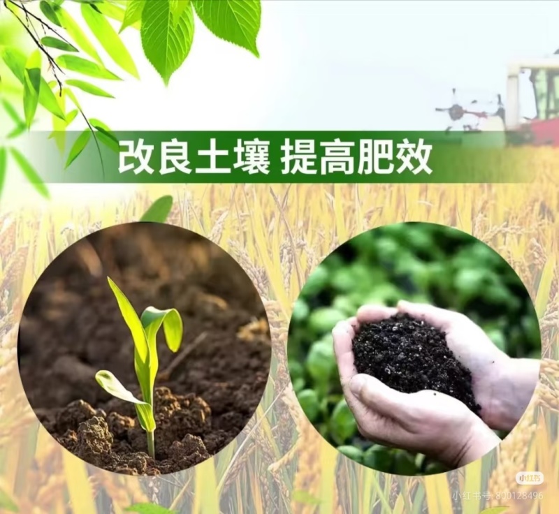 发酵大豆肥料大豆肥微生物肥料纯大豆发酵效果肥料有机质