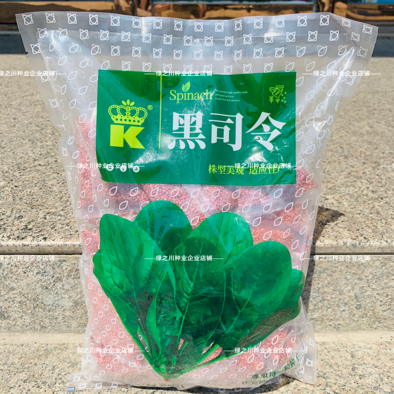 3斤杂交菠菜种子黑司令直立菠菜种子耐寒深绿春秋越冬菠菜种