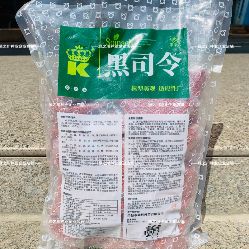 3斤杂交菠菜种子黑司令直立菠菜种子耐寒深绿春秋越冬菠菜种