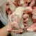 临沂现货后肘骨，带肉带筋膜酱大骨熟食饭店都可以使用