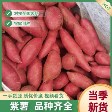 精品紫薯河北产地现挖现发紫罗兰紫薯口感面甜