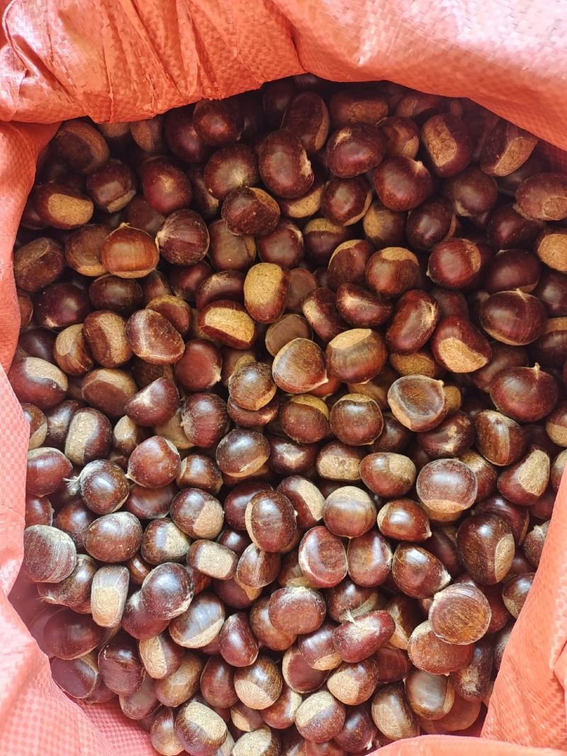 蒙阴板栗油板栗