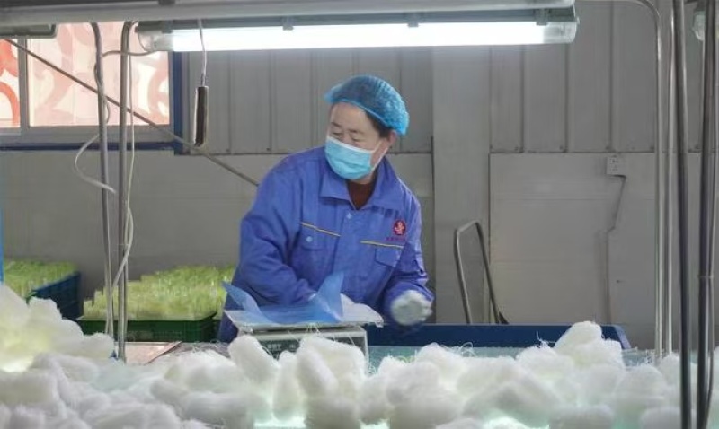龙口特产粉丝，火锅店备货，连锁供应，试吃攒粉，厂家直