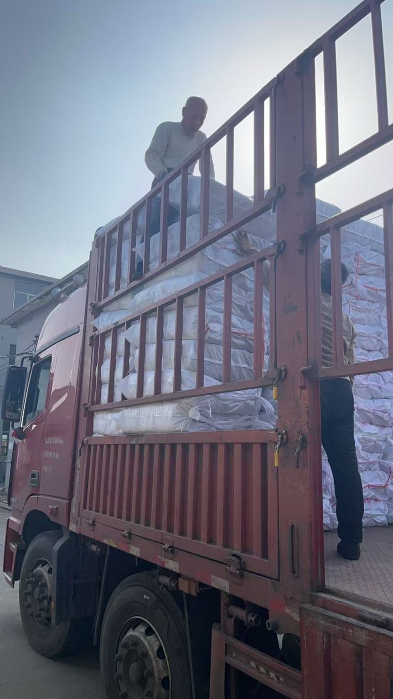 龙口特产粉丝，火锅店备货，连锁供应，试吃攒粉，厂家直