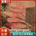 冀薯33精品红薯货源充足，全国市场电商可对接