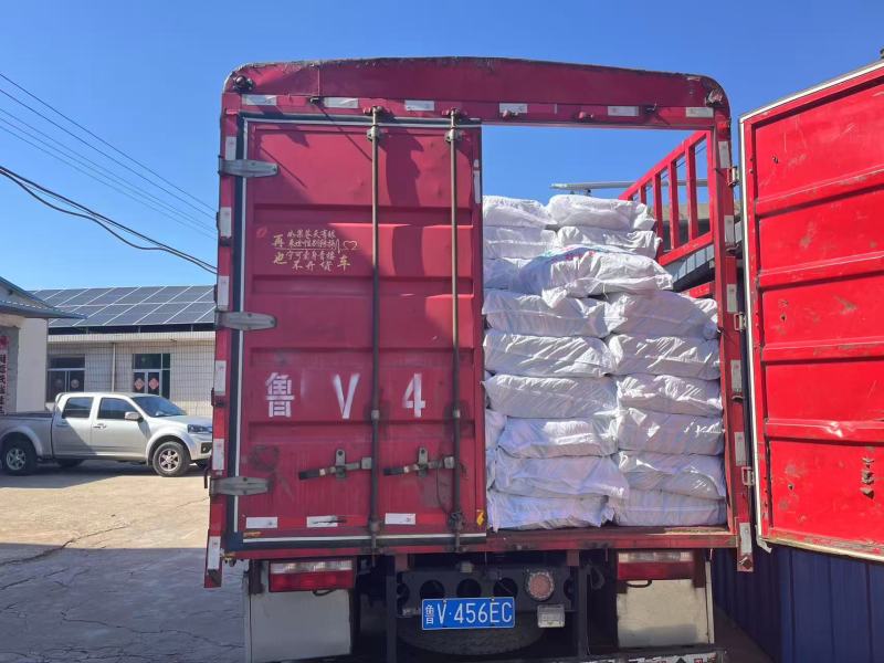 龙口特产粉丝自产自销现货现发品质保障，可视频看货！诚信为先