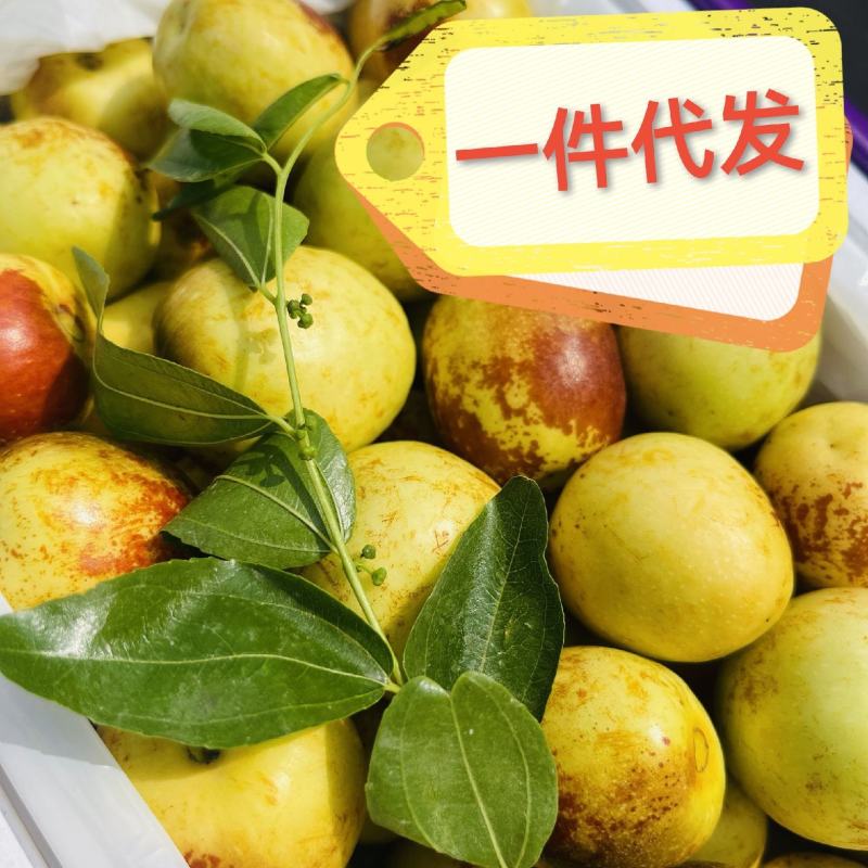各大电商平台一件代发新鲜冬枣，品质好，信誉可靠