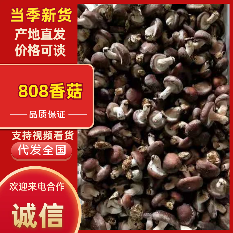 工厂大集超市平台专用香菇，大量有货，对接全国市场电商平台