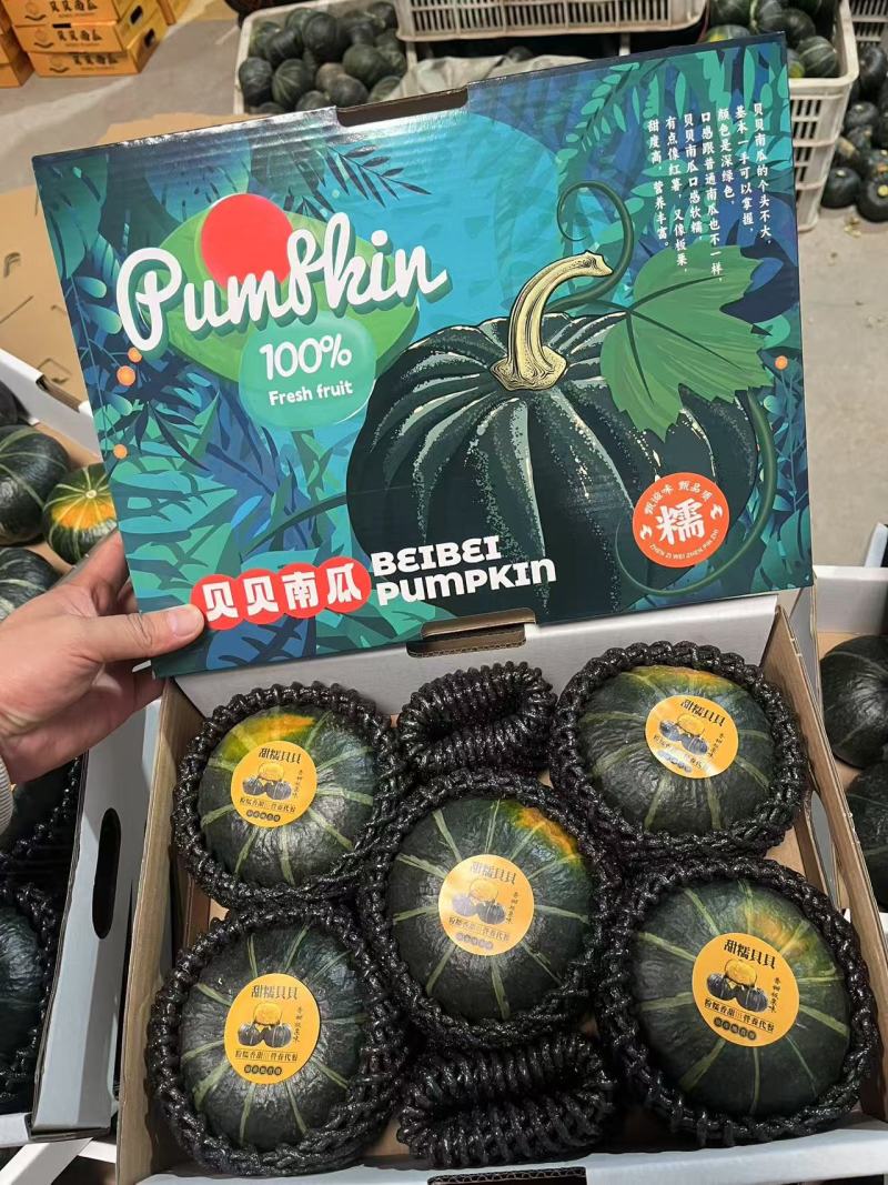 山东贝贝南瓜，产地直发，口感好个头均匀，皮毛黑亮货源充足