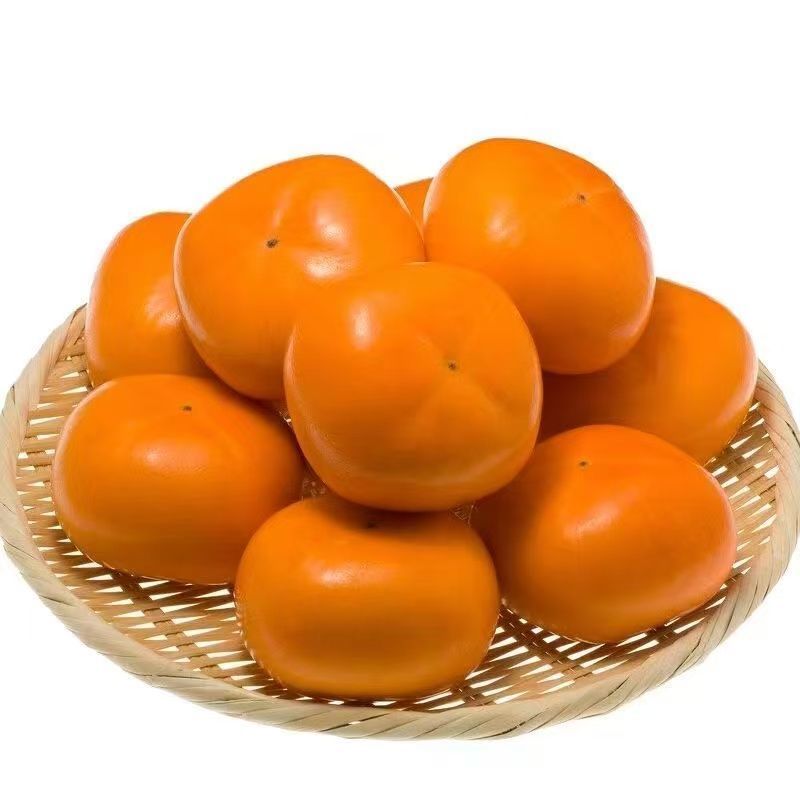 巧克力脆柿子！产地直发！专业一件代发！代发！