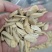 精品脱皮瓜子363葵花籽大量供应可视频看货欢迎来电