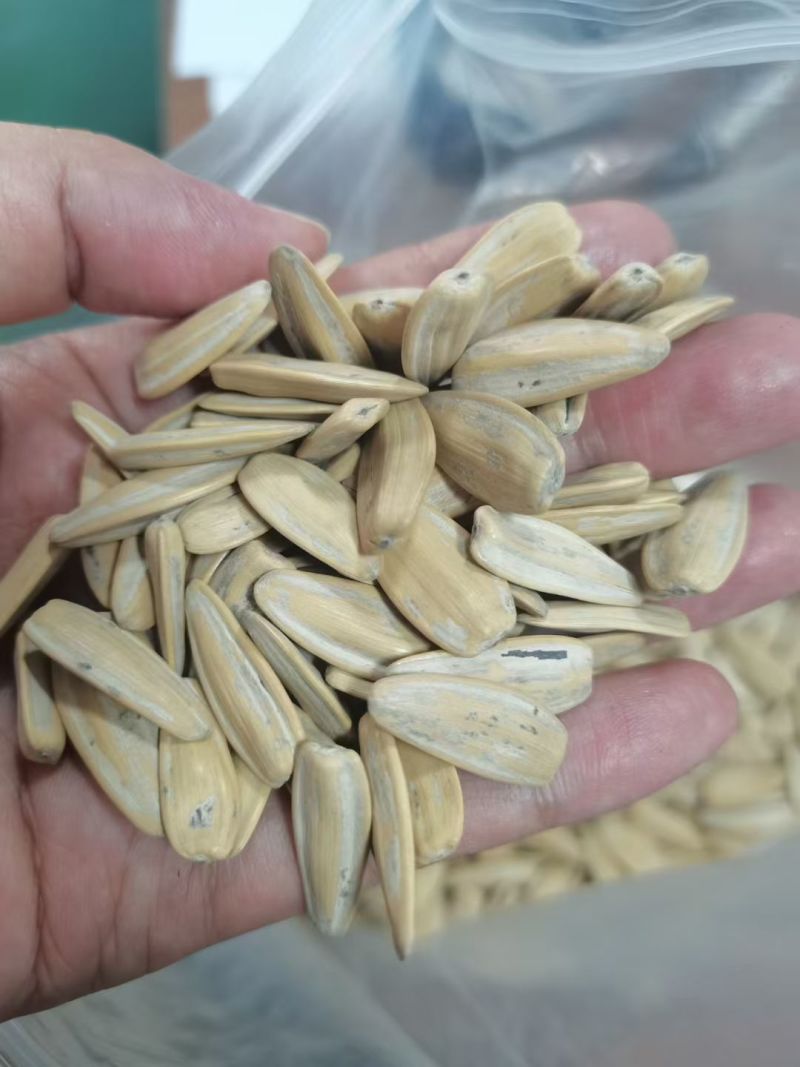 精品脱皮瓜子363葵花籽大量供应可视频看货欢迎来电