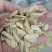精品脱皮瓜子363葵花籽大量供应可视频看货欢迎来电