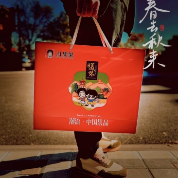 红杏干特价100份礼盒