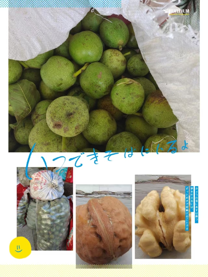 涿鹿青皮核桃