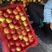 123苹果K9小苹果大量接单产地直发量大从优欢迎来电咨询