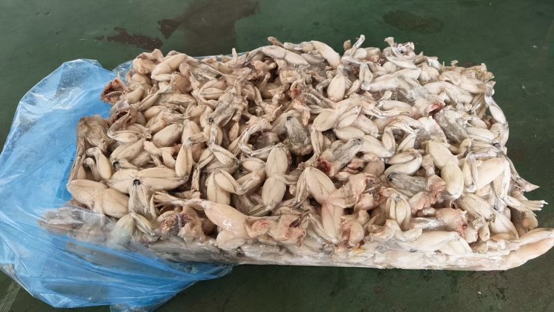 板冻小牛蛙