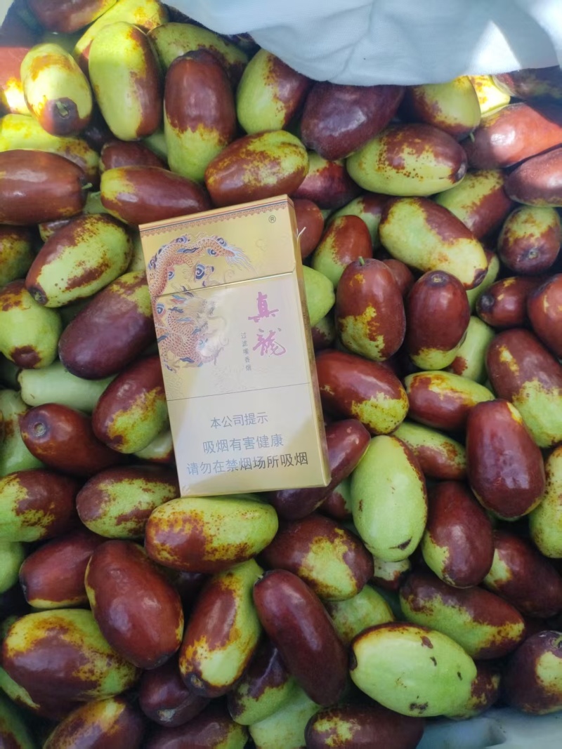 宁夏葡萄树红提和维多利亚三到七公分
